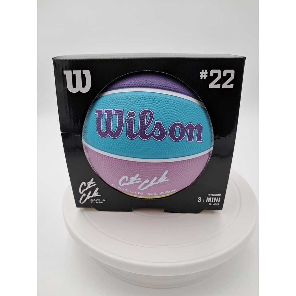 Wilson Caitlin Clark Outdoor Mini Basketball-Pink And Teal